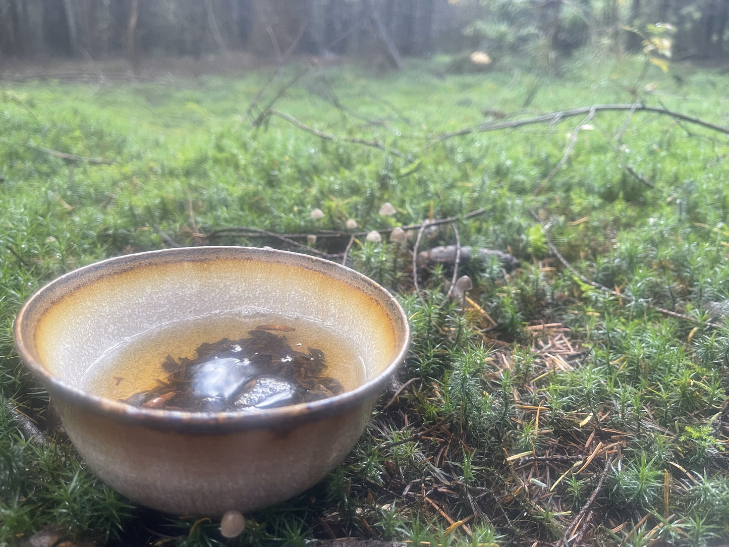 Xander bowl