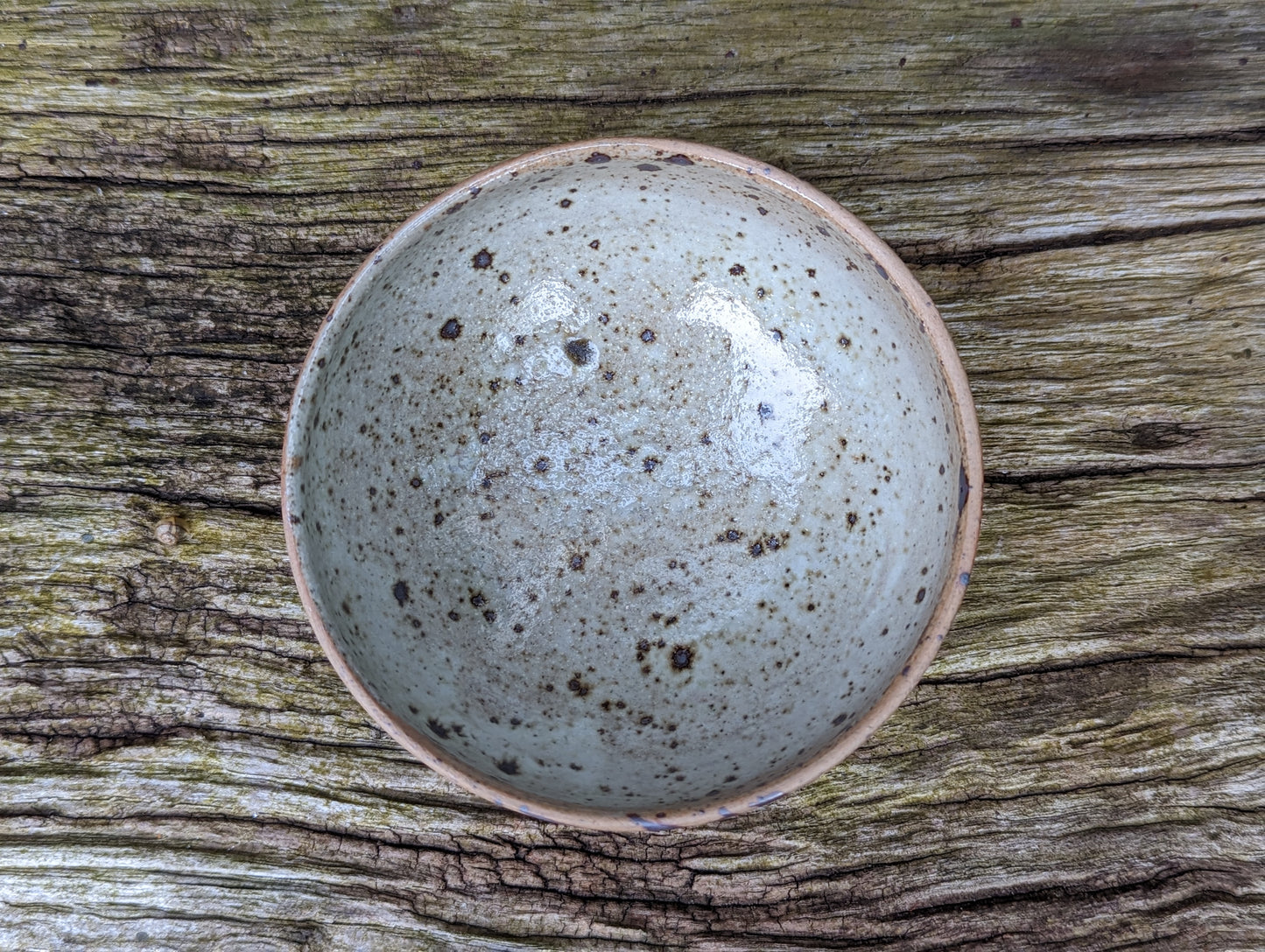 Shino bowl