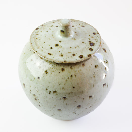 Ash reduction storage jar